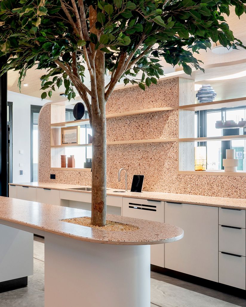 Café counter built around a tree at The Hive